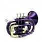 Sky Band Approved Brass Bb Pocket Trumpet with Case, Cloth, Gloves and Valve Oil, Guarantee Top Quality Sound, Gold (Purple)