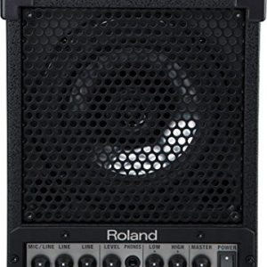Roland Cube Monitor