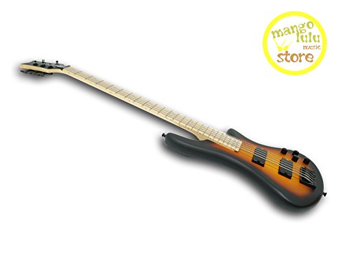 5 String Electric Bass ?