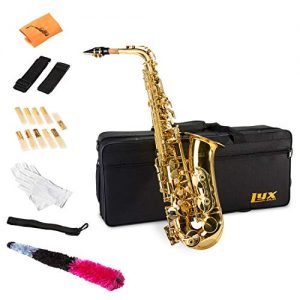 LyxJam Alto Saxophone - E Flat Brass Sax Beginners Kit, Mouthpiece, Neck Strap, Cleaning Cloth Rod, Gloves, Cork Grease, Hard Carrying Case w/ Removable Straps, Maintenance Guide - 10 BONUS Reeds (C