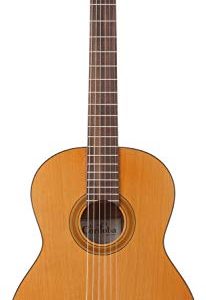 Cordoba Classical Guitar Bundle with Gig Bag, Tuner - Image 2