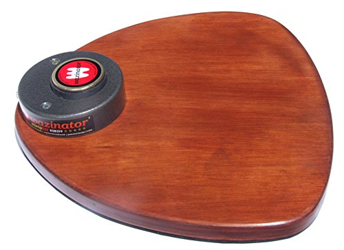 Power Your Performance with Wazinator Classic KSB319 Acoustic Stompbox