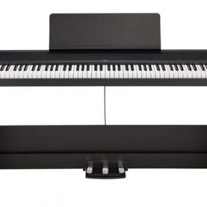 KORG 88-Key Natural Weighted Hammer Action Digital Piano