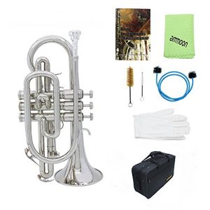 Professional Bb Flat Cornet Brass Instrument with Carrying Case Gloves Cleaning Cloth Brushes