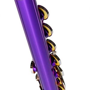 EastRock Closed Hole Flutes C 16 Key for Beginner - Image 4