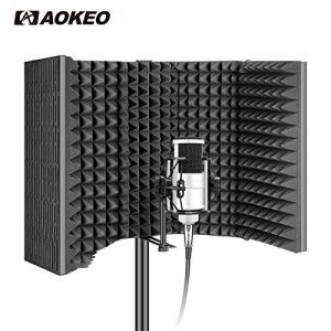 Aokeo AO-Professional Studio Recording Microphone Isolation Shield