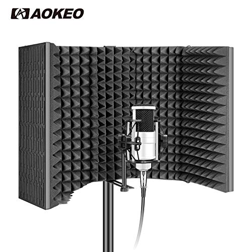  Aokeo Professional Studio Recording Microphone
