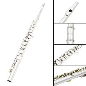 ammoon Flute Cupronickel Plated Silver 16 Holes C Key Woodwind Instrument - Image 2