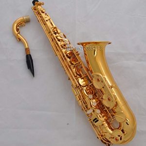 FidgetFidget Professional Gold brass C Melody sax saxophone - Image 2