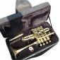 Piccolo Trumpet Brass Finish Picollo Bb/A Pitch W