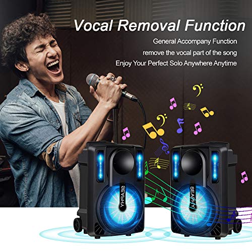 🎤 SEAPHY Karaoke Machine with Vocal Removal & DJ Lights | Bring the Party Anywhere!