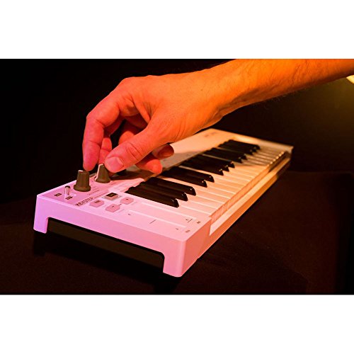 Unleash Your Sound with the Arturia MicroBrute Analog Synthesizer - Compact, Versatile, and Powerful