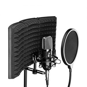 Professional Microphone Isolation Shield, Pop Filter