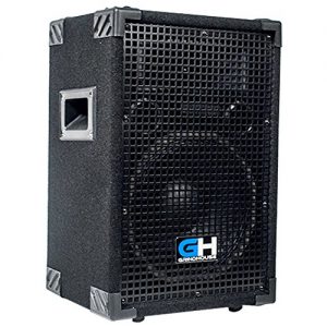 Grindhouse Speakers - Passive 10 Inch 2-Way PA/DJ Loudspeaker Cabinet