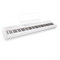 Alesis Recital White | All White 88-Key Digital Piano / Keyboard