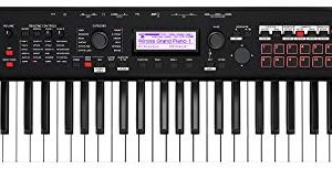 Korg Synthesizer Workstation (61-Key, Black)