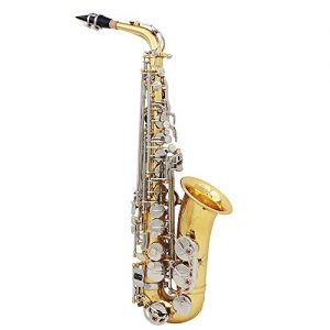 ammoon LADE Alto Saxophone Sax Glossy Brass Engraved Eb E-Flat Natural White Shell Button Wind Instrument with Case Mute Gloves Cleaning Cloth Grease Belt Brush