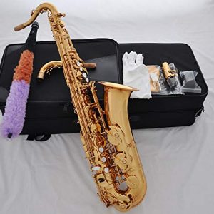 FidgetFidget Professional Gold brass C Melody sax saxophone