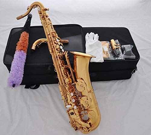 FidgetFidget Professional Gold brass C Melody sax saxophone
