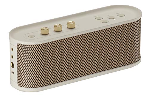 Roland Bluetooth Speaker with Guitar Input