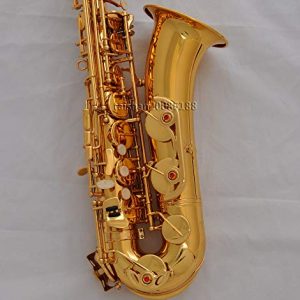 FidgetFidget Professional Gold brass C Melody sax saxophone - Image 4