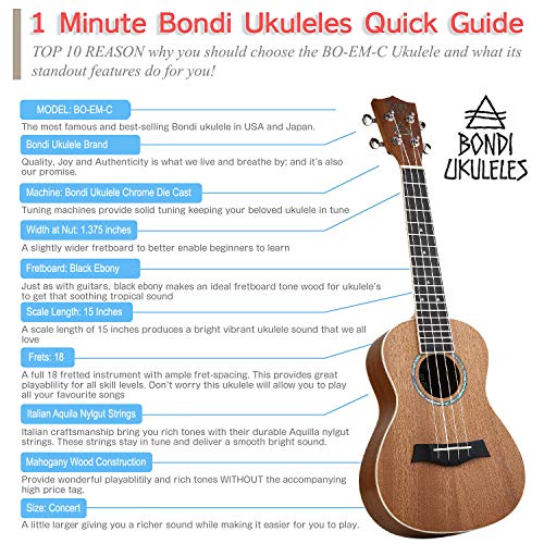 Ukulele Starter Kit Mahogany Uke, Compression Sponge Case