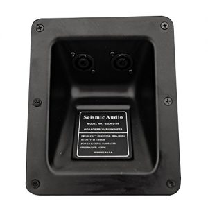 Seismic Audio Premium Passive 2 x 15 Line Array Subwoofer - Image 4