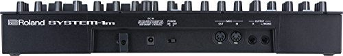Roland Plug-Out Synthesizer Module