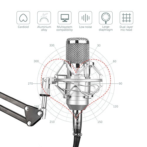 Professional Studio Broadcasting and Recording Capacitor Condenser