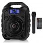 EARISE T26 Portable PA System Bluetooth Speaker with Wireless Microphone