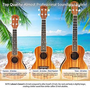 Ukulele Concert Size Bundle From Lohanu (LU-C) 2 Strap Pins Installed FREE Uke - Image 3