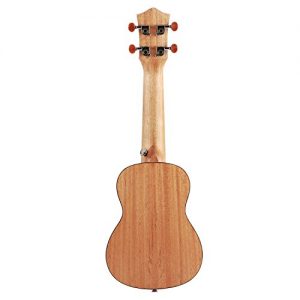 Donner Soprano Ukulele Spruce 21 inch with Ukulele Set - Image 4