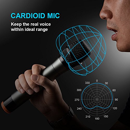 UHF Wireless Microphone System,Frunsi Dual Dynamic Cordless Handheld