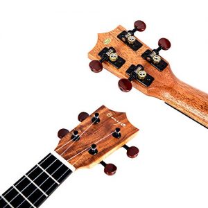 Enya Pineapple Soprano Ukulele 21 Inch Beginner Kit - Image 4