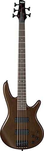 Ibanez 5 String Bass Guitar, Right, Walnut