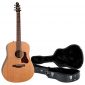 Seagull Original New 2018 Model Acoustic Guitar w/Hard Case