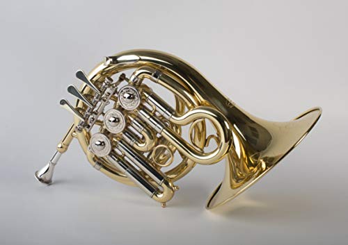 Tempest Agility Winds Mini Pocket French Horn in Bb 3 Rotary Valves Engraved Lacquered Brass with Case and Mouthpiece 5-Year Warranty