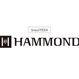 Suzuki ProMaster Hammond Harmonica – 10-Hole Diatonic with Phosphor Bronze Reeds for Rich Sound - Image 4