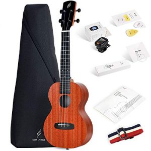 Enya Concert Ukulele 23 inch Kit in Mahogany Pattern Beginner Ukulele