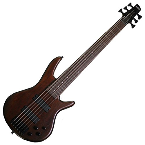 Ibanez 6-String Bass Bundle - Unleash Powerful Tones with Gig Bag and Stand