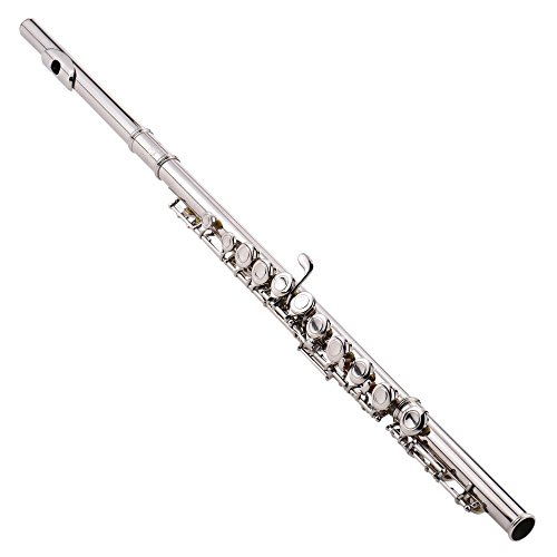 ammoon Concert Flute Silver Plated 16 Holes C Key Deals ...