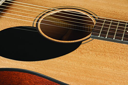 Jasmine Acoustic Guitar, Natural