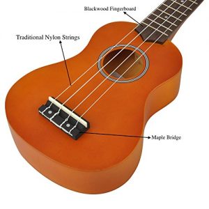 Soprano Ukulele Beginner Pack-21 Inch w/Gig Bag Fast Learn Songbook - Image 3