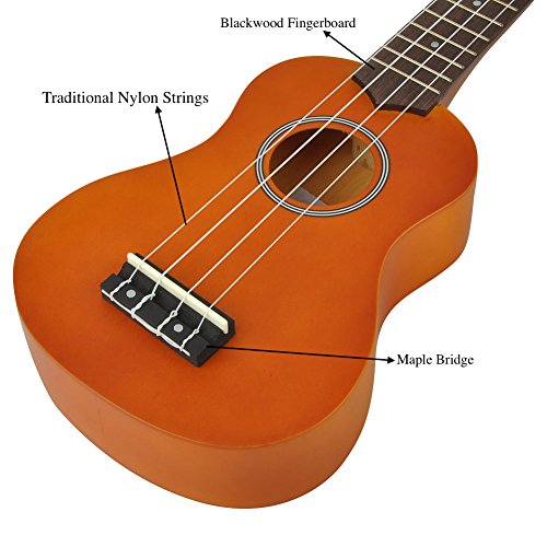 Soprano Ukulele Beginner Pack-21 Inch w/Gig Bag Fast Learn Songbook