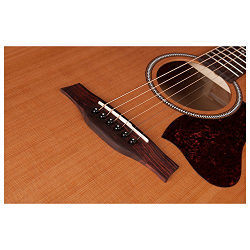 Seagull Original New 2018 Model Acoustic Guitar w/Hard Case