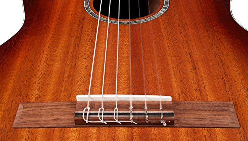 Unleash Rich Tones with the Cordoba C4-CE Acoustic Electric Guitar - African Mahogany Elegance for Enhanced Sound!