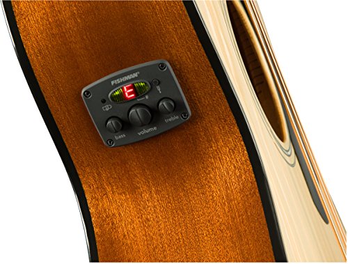 Fender Beginner Acoustic-Electric Beginner Bass Guitar