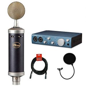 Blue Baby Bottle SL Studio Condenser Microphone