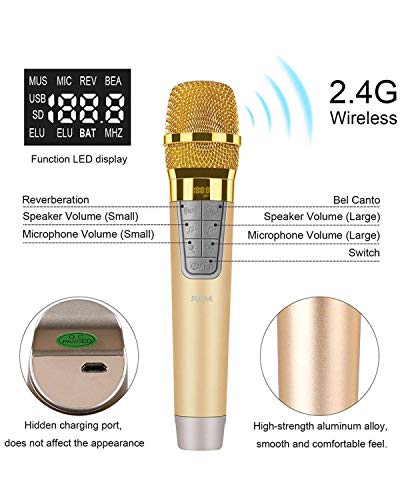 RHM Karaoke Machine for Kids&Adult,2 Wireless Microphones