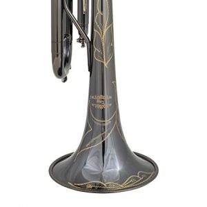 Glory Black Nickel With engraved flowers, Brass Bb Trumpet with Pro Case +Care Kit - Image 2